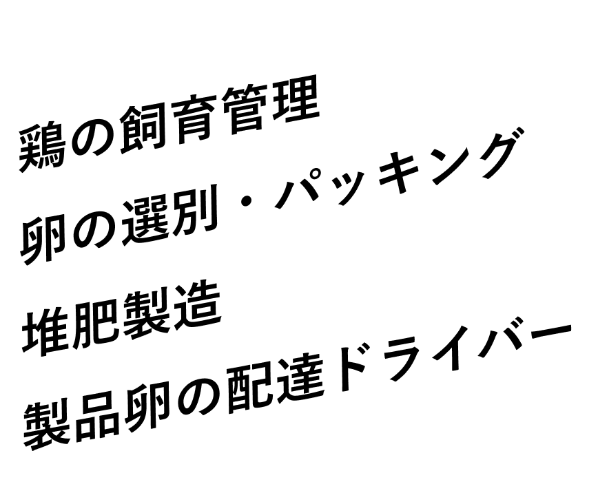 鶏の飼育管理　卵の選別・パッキング　堆肥製造　製品卵の配達ドライバー